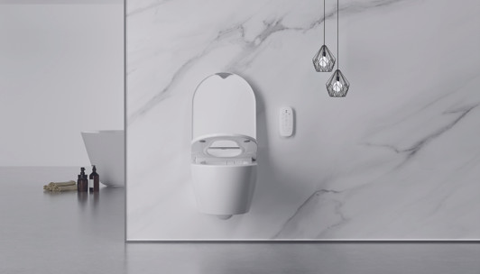 Sesto toilet bidet with remote control mounted on the wall, live shot