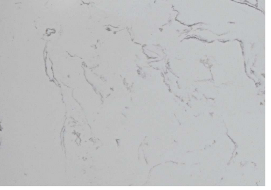 Cato vanity stone top