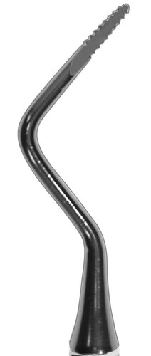 EX81