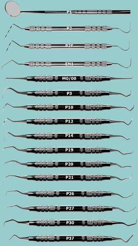 SK101 - Serona Complete Prophy Kit