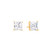Basket Set Stud Earrings with Square Princess Cut White CZ - 925 + Gold Plate