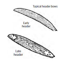 Top Bows: Wood vs. Synthetic — The Debate That Never Ends