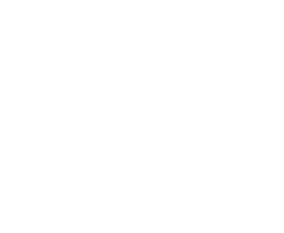 SLR and Novus saddle shapes
