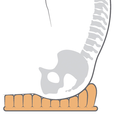 Standard Air Cushion high level of immersion
