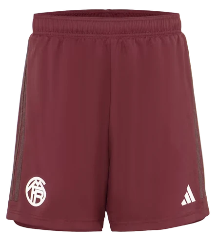 Bayern Munich 23/24 Authentic Men's Third Shirt