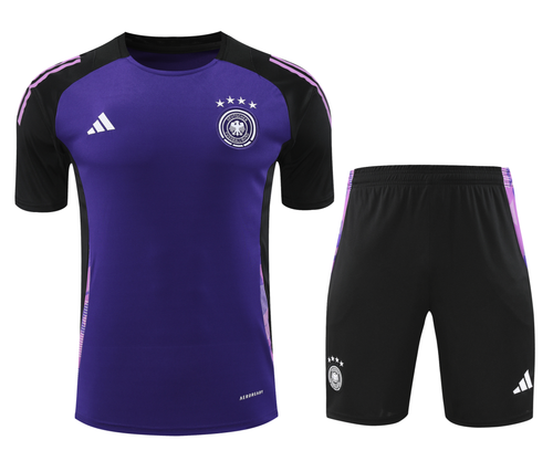 Germany 2024 Men's Purple Training Shirt