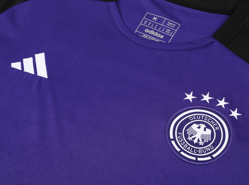 Germany 2024 Men's Purple Training Shirt