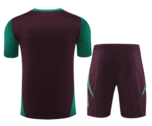 Mexico 2024 Men's Bordeaux Training Shirt