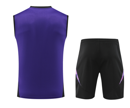 Germany 2024 Men's Purple Training Tank Top