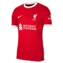 HENDERSON #14 Liverpool 23/24 Authentic Men's Home Shirt - PL Font