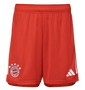 Bayern Munich 23/24 Authentic Men's Home Shirt