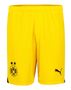 Borussia Dortmund 23/24 Kid's Away Shirt and Shorts