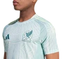 Mexico 2024 Authentic Men's Away Shirt