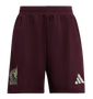 Mexico 2024 Kid's Home Shirt and Shorts