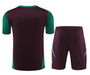 Mexico 2024 Men's Bordeaux Training Shirt