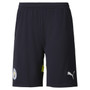 HAALAND #9 Manchester City 24/25 Stadium Men's Away Shirt - Man City Font