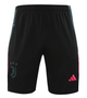 Juventus 24/25 Men's Gray Training Tank Top