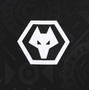 Wolves 25/26 Men's Home Goalkeeper Shirt