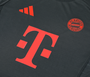 Bayern Munich 25/26 Men's Gray Training Tank Top