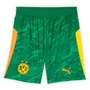 Borussia Dortmund 25/26 Kid's Green Goalkeeper Mini-Kit