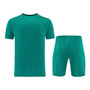 Liverpool 25/26 Men's Green Icons Shirt