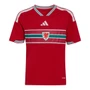 Wales 2026 Kid's Home Mini-Kit