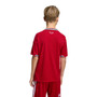 Wales 2026 Kid's Home Mini-Kit
