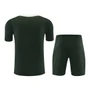Chelsea 25/26 Men's Green Traning Shirt