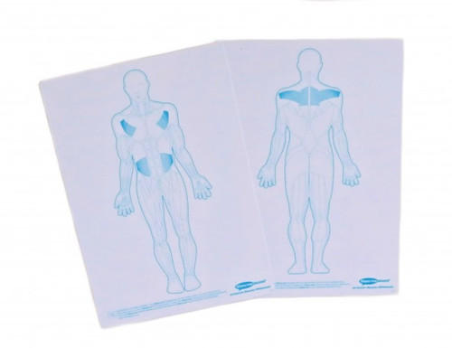 Blank Body Diagram & Outline Of Human Body Clipart Clipartfest
