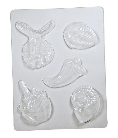 FOSSIL MOLDS