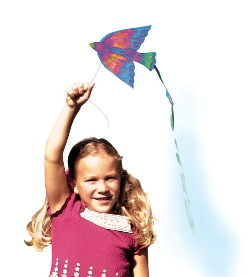 BIRD KITES (PKT 32)
