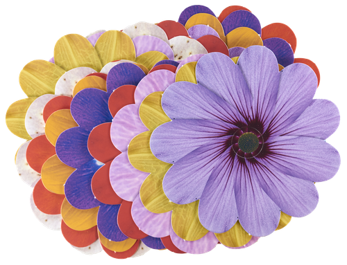 TAKE HOME WEAVING FLOWERS