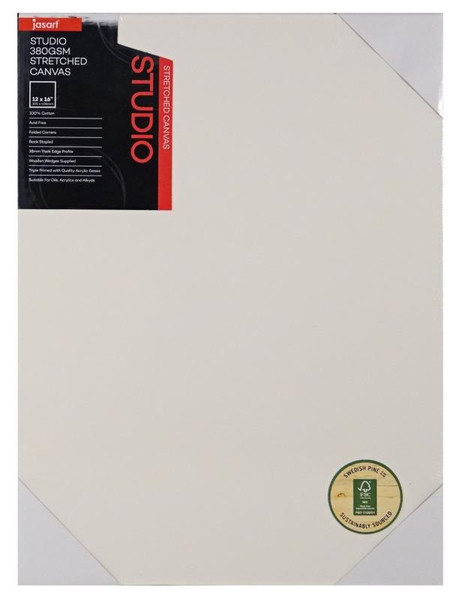 STUDIO THICK EDGE CANVAS 38MM DEPTH 12 X 16 INCH