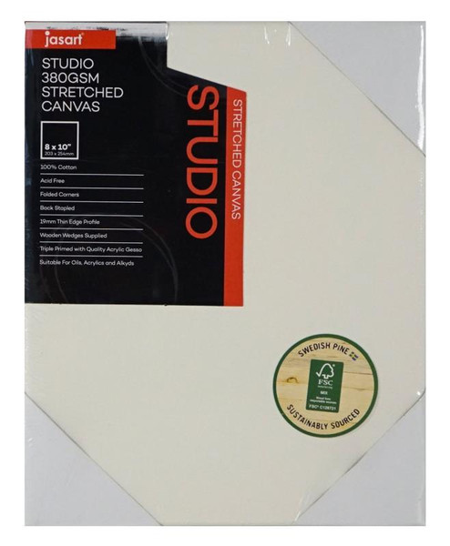 STUDIO THIN EDGE CANVAS 19MM DEPTH 8 X 10 INCH