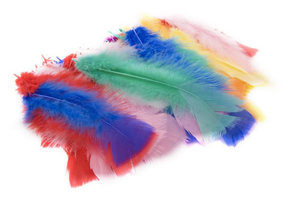 FEATHERS ASSORTED COLOURS 45PC