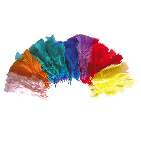 FEATHERS ASSORTED COLOURS 30GM