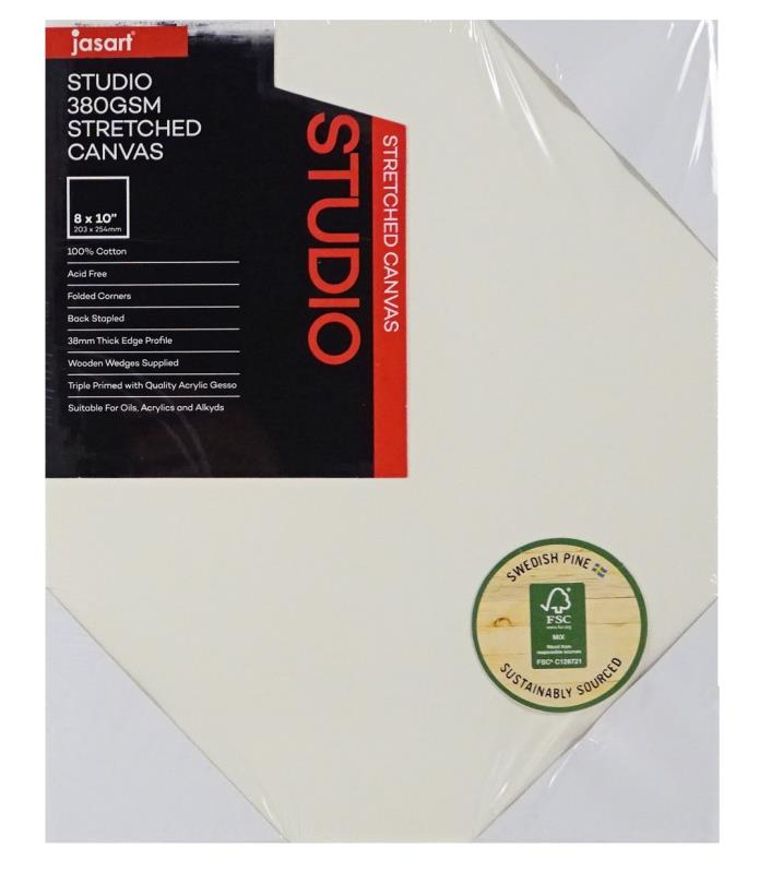 STUDIO THICK EDGE CANVAS 38MM DEPTH 8 X 10 INCH