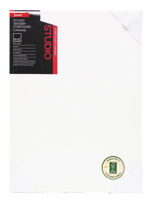 STUDIO THICK EDGE CANVAS 38MM DEPTH 12 X 12 INCH