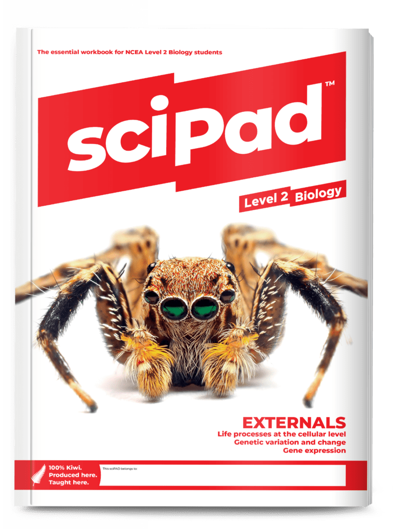SCIPAD LEVEL 2 BIOLOGY EXTERNALS WORKBOOK 9780992260415