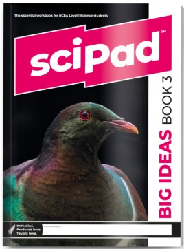 SCIPAD BIG IDEAS BOOK 3 (YEAR 11 SCIENCE) 9781991167521