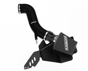 Ramair Performance Foam Intake Kit with Black Intake Hose for Ford Fiesta ST180 MK7 1.6T Ramair Performance Foam Intake Kit with Black Intake Hose for Ford Fiesta ST180 MK7 1.6T