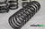 Velocity AP Audi R8 Progressive Rate Lowering Springs (2008-12)