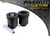 Powerflex Track Rear Beam Bushes - CITROEN C1 (2014 on)