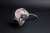 Forge Motorsport Adjustable Diaphragm Actuator for Subaru TD04 / TD05 Turbochargers