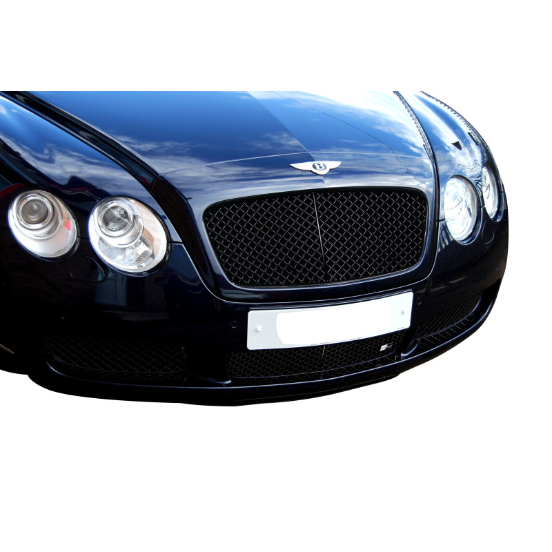 Zunsport Bentley Continental GT (2003-07) Lower Grille Set Zunsport Bentley Continental GT (2003-07) Lower Grille Set