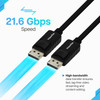 VisionTek DisplayPort to DisplayPort 2M Cable (M/M) - DisplayPort to DisplayPort - DP to DP cable 2 meter 6.6 ft male to male UHD 4K (3840x2160) 60 Hz