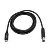 StarTech.com 2m 6 ft USB C to USB B Printer Cable - M/M - USB 3.0 (5Gbps) USB B Cable - USB C to USB B Cable - USB Type C to Type B Cable - Connect USB B devices to a USB Type C or Thunderbolt 3 computer - USB C Printer Cable - Connect USB 3.2 Gen 1 