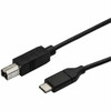 StarTech.com 0.5m USB C to USB B Printer Cable - M/M - USB 2.0 - USB C to USB B Cable - USB C Printer Cable - USB Type C to Type B Cable - Connect USB 2.0 USB-B devices to your USB-C or Thunderbolt 3 computer - 0.5m USB B Cable - 0.5m USB C to USB B 