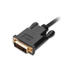 SIIG DisplayPort to DVI 6ft Cable - 6 ft DisplayPort/DVI-D Video Cable for Monitor, HDTV, PC, Video Device - First End: 1 x 20-pin DisplayPort Digital Audio/Video - Male - Second End: 1 x 25-pin DVI-D (Single-Link) Digital Video - Male - 2.7 Gbit/s -