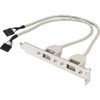 Rocstor Premium 8in 2 Port USB Type A Female Low Profile Slot Plate Adapter - 2 x USB Type A Female Ports - 2 x IDC-5 Female Connectors Low Profile USB A (F) - 8" IDE/USB Data Transfer Cable for Motherboard - First End: 2 x USB Type A Header - Female